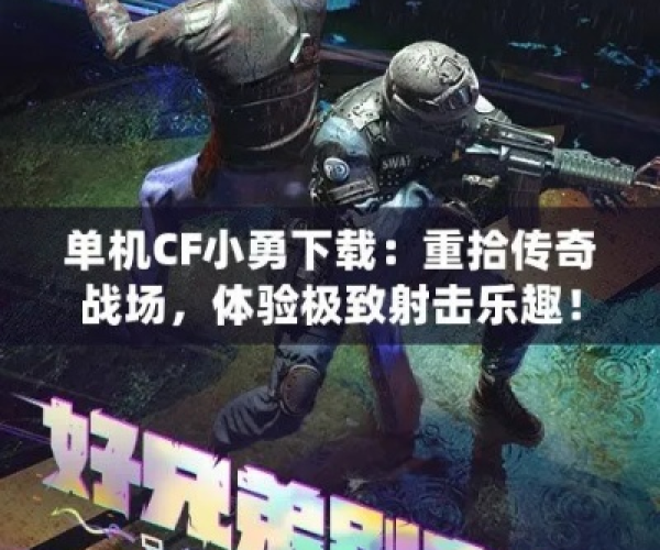 cf小勇1.3单机版与官方下载时时转,安全性策略评估_Executive_v2.634