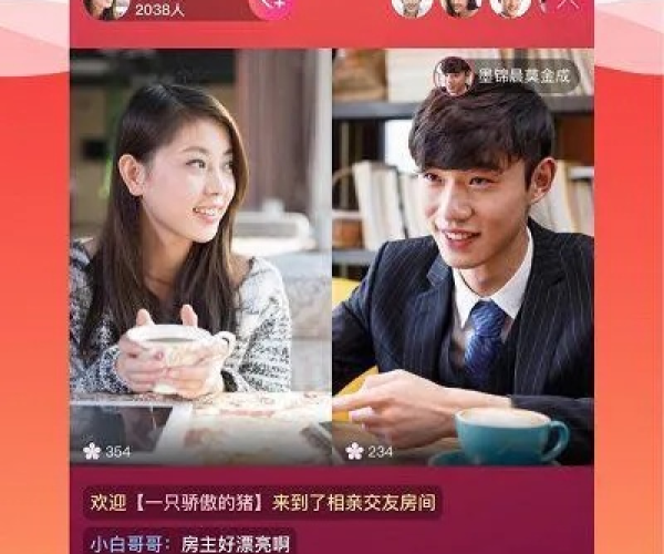世纪佳缘手机版本登录和pdf6.0官方下载，轻量级软件Holo_v2.317的解析说明