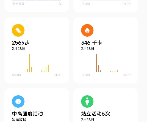 裸奔版本与小米手环官方下载,深入解析数据策略_pack1_v3.206