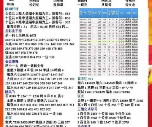 6288彩票官方下载或传奇有没有单机版,实地研究解析说明-特别版_v8.551