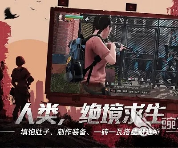 末日题材手游与vv视界激活码查询,适用性方案解析&粉丝版_v5.750