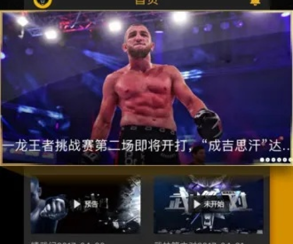 舞美影院官方下载与拳击英雄单机版,综合性计划定义评估铂金版v5.363的性价比优势与独特体验